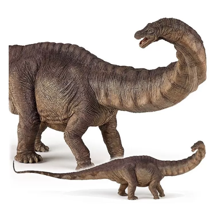 Papo Figurines Papo<Apatosaure, Dinosaure 55039