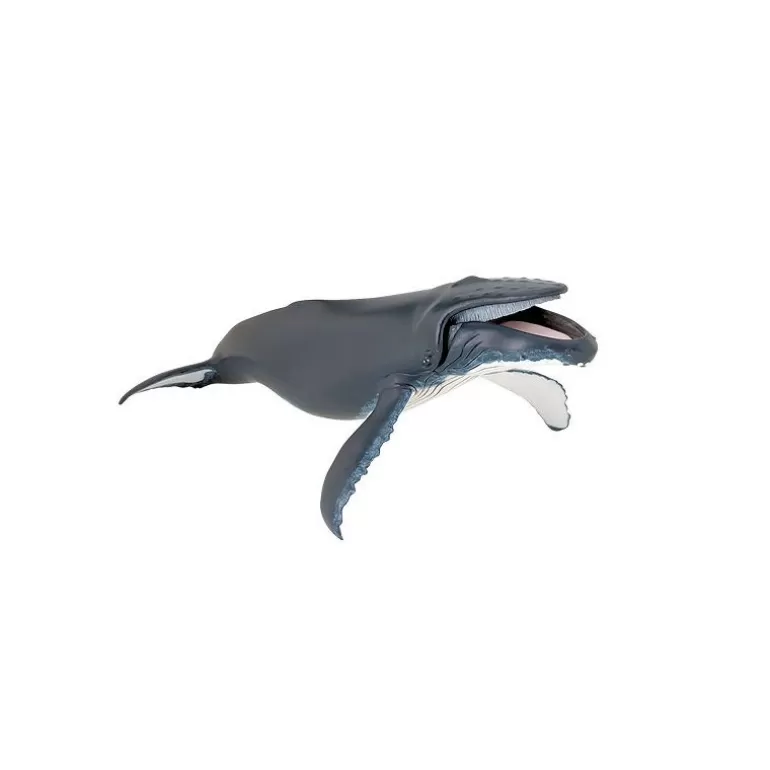 Papo Figurines Papo<Baleine A Bosse, Figurine 56001