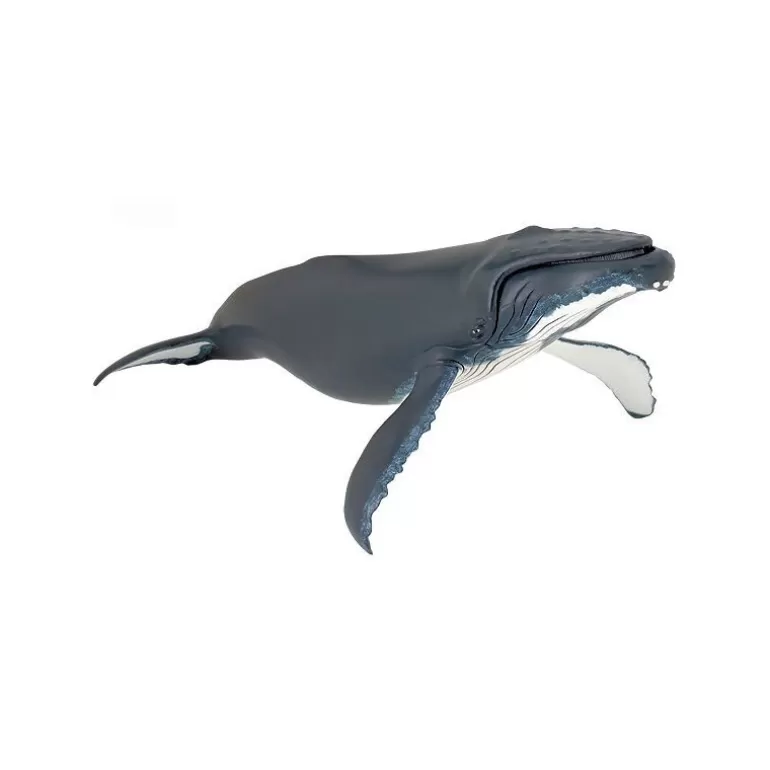 Papo Figurines Papo<Baleine A Bosse, Figurine 56001