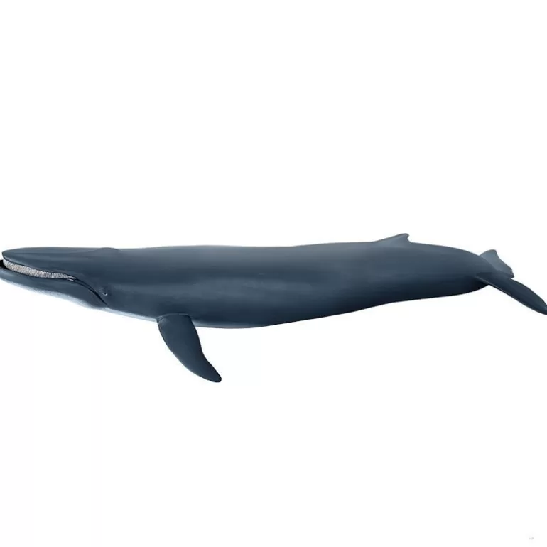 Papo Figurines Papo<Baleine Bleue, Figurine 56037
