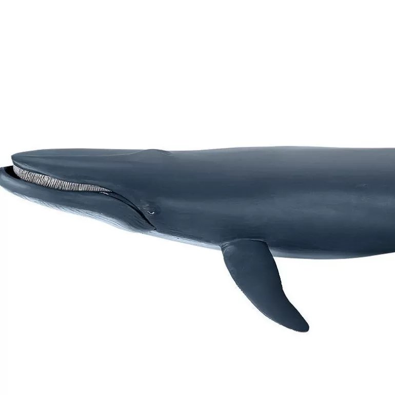 Papo Figurines Papo<Baleine Bleue, Figurine 56037