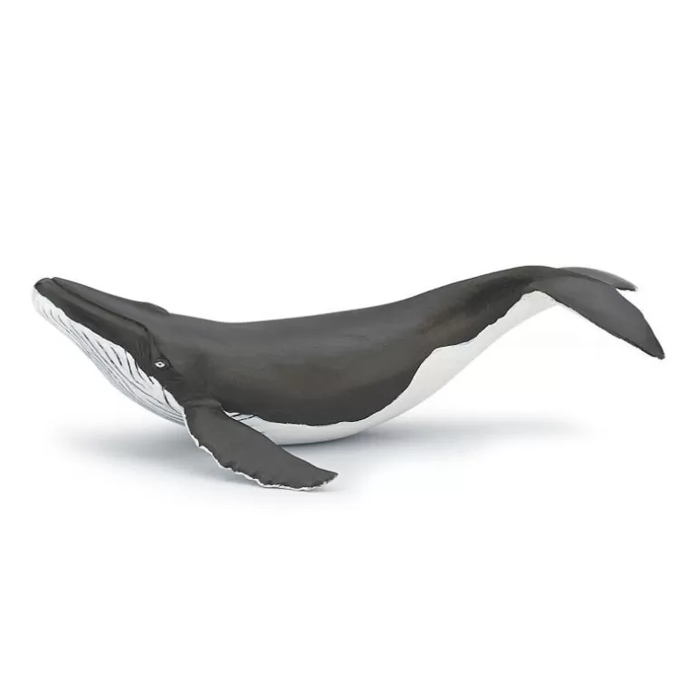 Papo Figurines Papo<Baleineau, Figurine 56035