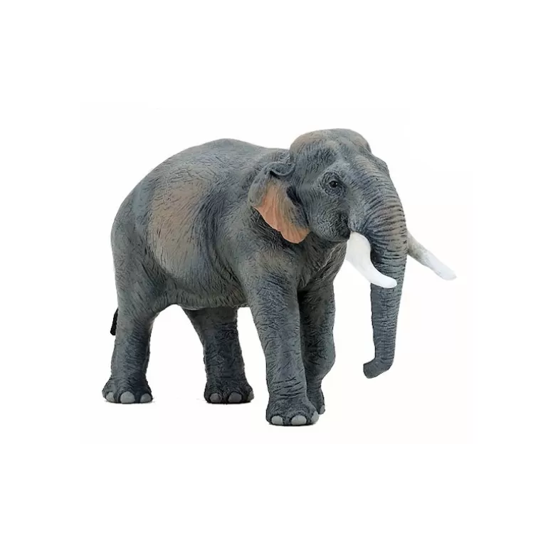 Papo Figurines Papo<Elephant D'Asie 50131