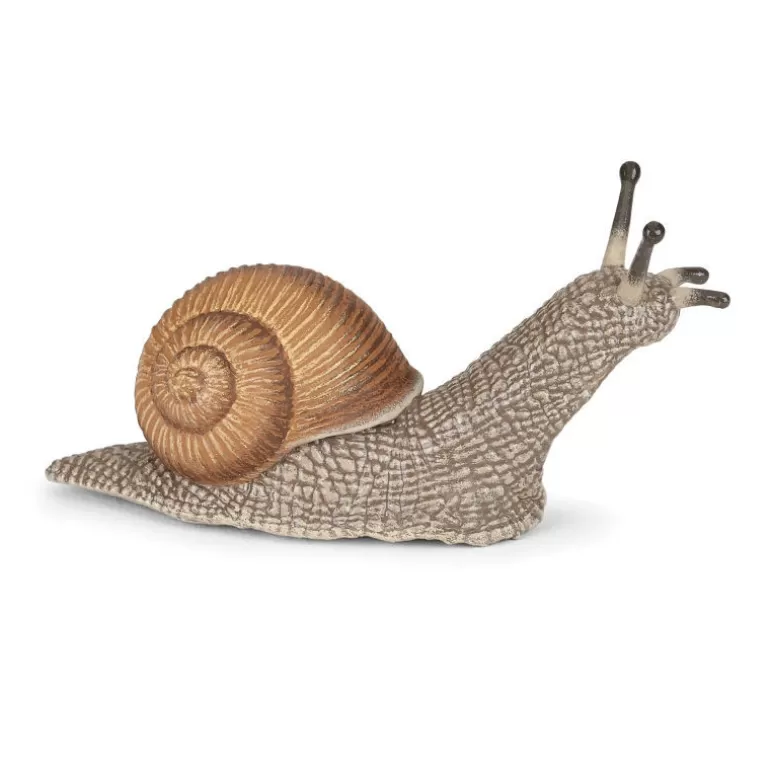 Papo Figurines Papo<Escargot, Figurine 50262