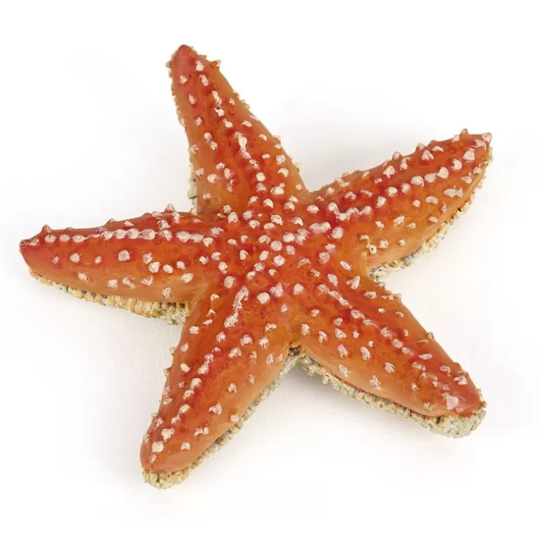 Papo Figurines Papo<Etoile De Mer, Figurine 56050