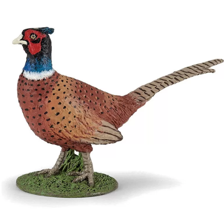 Papo Figurines Papo<Faisan, Figurine 50263