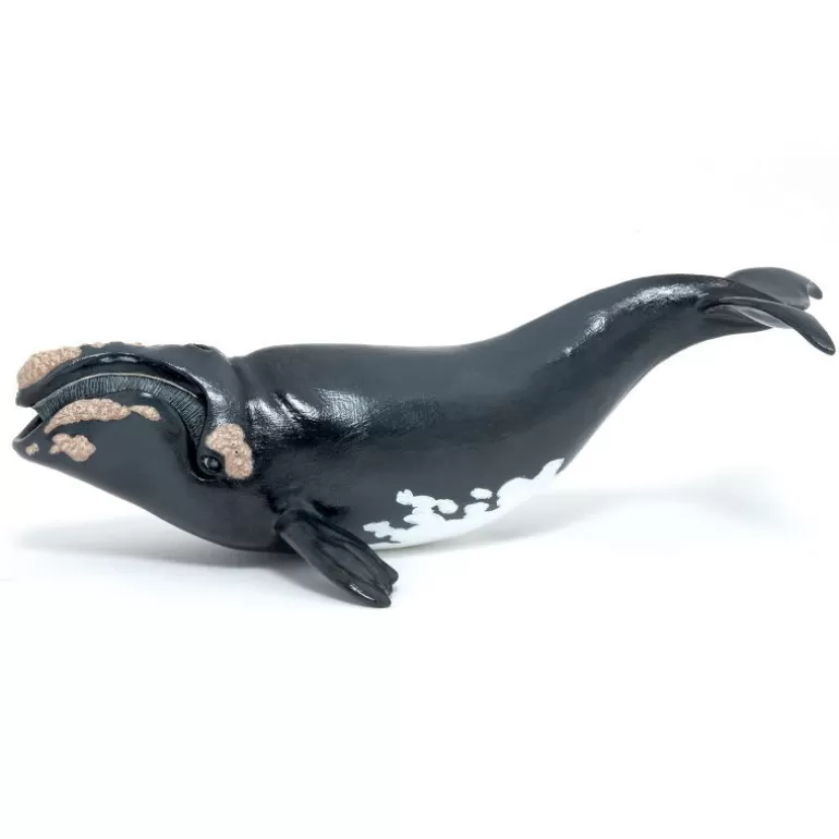 Papo Figurines Papo<Jeune Baleine Franche De L'Atlantique Nord, Figurine 56057