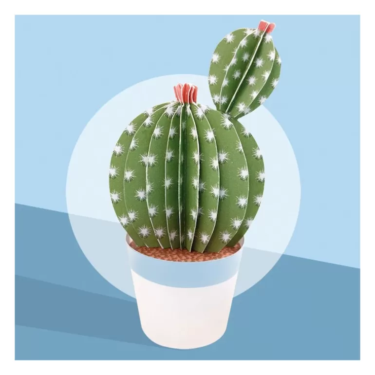Sophie et Martin Jeux Loisirs Créatifs Fabriqués En France<Les Petits Cactus, Maquettes En Papier ''