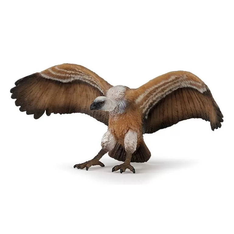 Papo Figurines Papo<Vautour, Figurine 50168