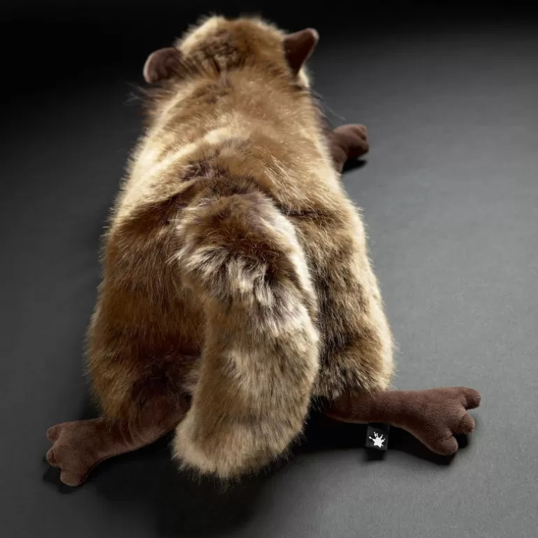 SIGIKID Peluches Et Doudous Sigikid<What Is It ? Renard Du Desert En Peluche Beasts 39617